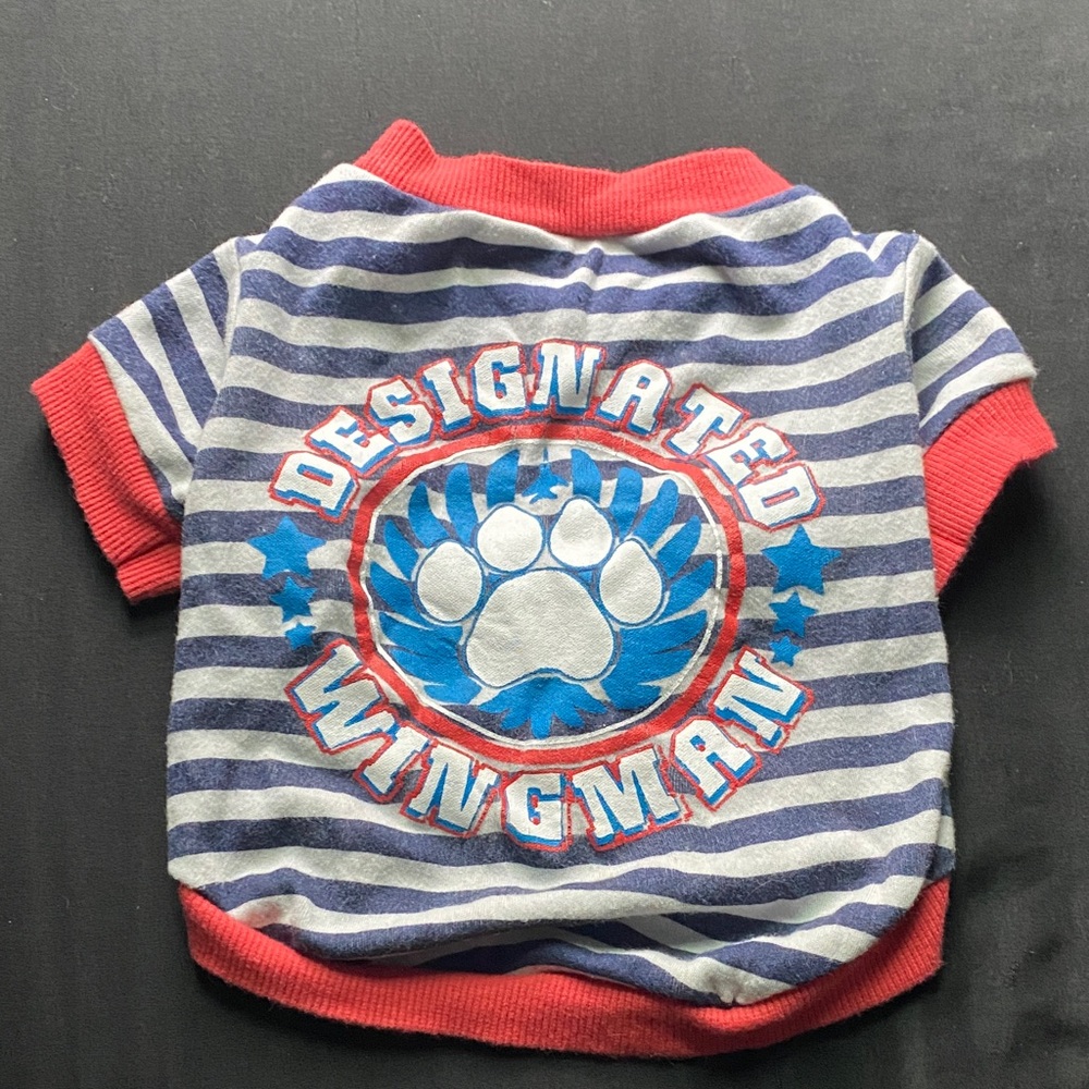 Striped 'Designated Wingman' Paw Print Pet Tee - Blue & Red